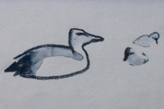 signe-4831