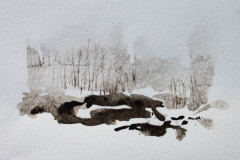 signe-4838