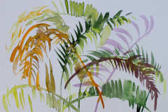 signe-4786