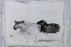signe-4872