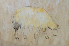 signe-4873
