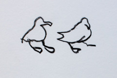 signe-4847