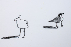 signe-4848