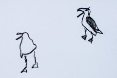 signe-4856
