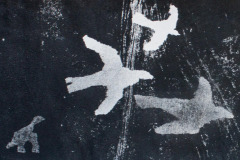 signe-4900