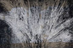 signe-4909